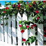 Ξύλινη Πόρτα Φράχτη Πυραμίδα 75(Υ) x 100cm Ξύλινη Πόρτα Φράχτη Πυραμίδα 75(Υ) x 100cm - Ξύλινοι Φράχτες