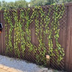 Expandable Trellis Willow Lattice Fence Panel 90(H)x180cm Expandable Trellis Willow Lattice Fence Panel 90(H)x180cm