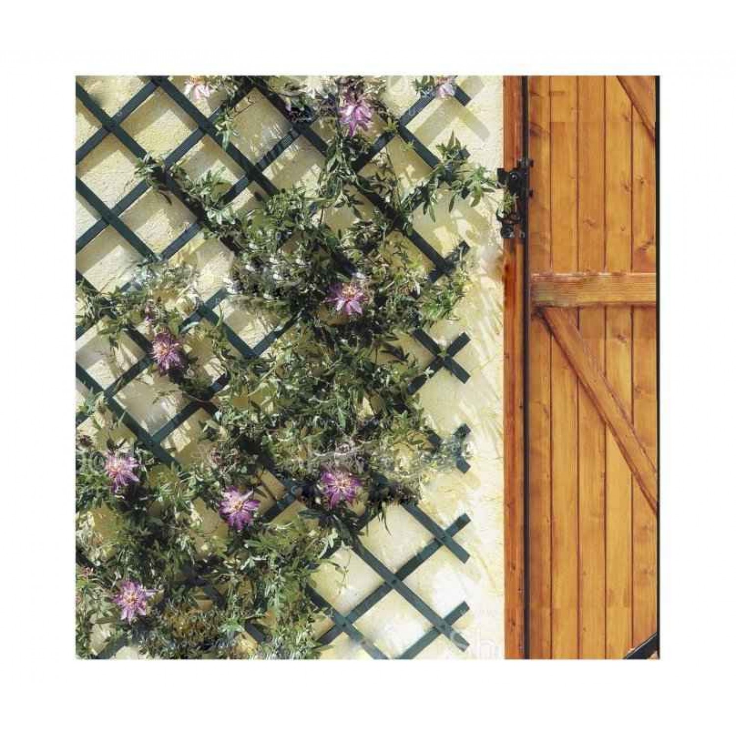 Expanding Trellis-Pergola 200x50cm | Τimber Garden Products Expanding Trellis-Pergola 200x50cm | kipogeorgiki.live