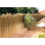 Ακρόκλαδα Fern με Σύρμα Γαλβανιζέ 120(Υ)x500cm | Κηπογεωργική