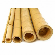 Bamboo Spar - Poles - Decorative & Support Bamboos - Natural for Indoor and Outdoor Décor