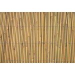 Καλαμωτή Μπαμπού Μασίφ 7-12mm 100(Υ)x300cm Καλαμωτές Μπαμπού Μασίφ 7-12mm 100(Υ)x300cm | Κηπογεωργική