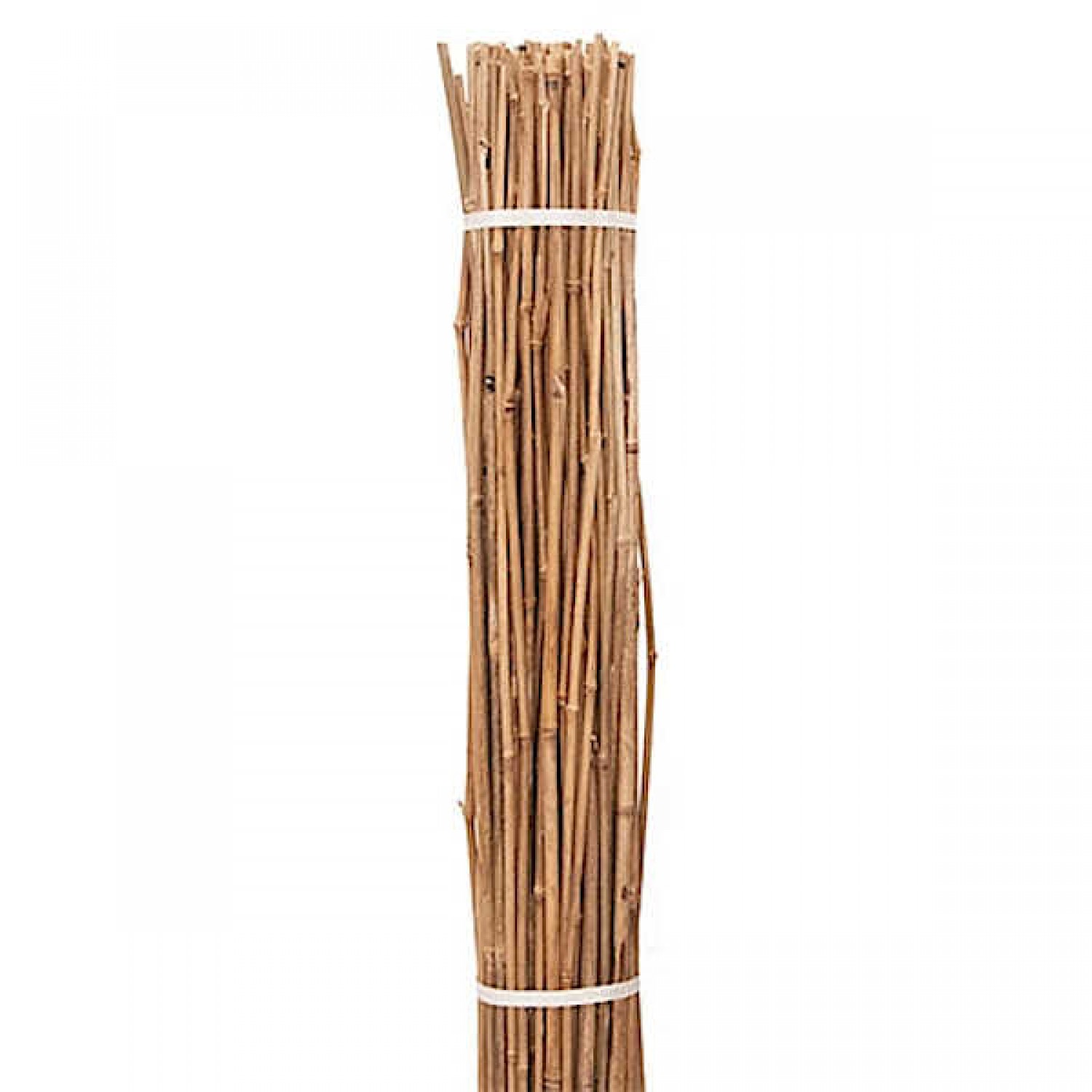 Nursery Bamboo Canes Bundle 30pcs D30-34mmx(H)350cm Nursery Bamboo Canes Bundle 30pcs D30-34mmx(H)350cm - Plant Support Canes