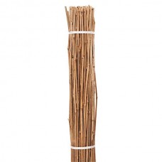Ιστοί Μπαμπού (Bamboo) Φυτωρίου Δέμα30τμχ Φ22-26mmx(Υ)300cm - Καλάμια Στήριξης Φυτών