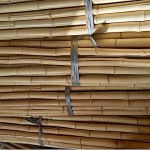 Nursery Bamboo Canes Bundle 30pcs D30-34mmx(H)350cm Nursery Bamboo Canes Bundle 30pcs D30-34mmx(H)350cm - Plant Support Canes