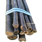 Ιστοί Μαύρου Φυσικού Μπαμπού (Bamboo) Φυτωρίου Δέμα 10τμχ Φ20-25mmx(Υ)300cm - Φυσικά Καλάμια Στήριξης Φυτών