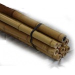 Bamboo Spars - Poles Decoration & Support Natural Color Bamboo Spars - Poles Decoration & Support Natural Color - Decoration & Comstruction Bamboo Poles