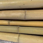 Bamboo Spars - Poles Decoration & Support Natural Color Bamboo Spars - Poles Decoration & Support Natural Color - Decoration & Comstruction Bamboo Poles