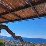 Καλαμωτή Βέργα Λεπτοκαρυάς Αποφλοιωμένη Φ14-28mm 1,5Yx2m Καλαμωτή Βέργα Λεπτοκαρυάς Αποφλοιωμένη Φ14-28mm 1,5(Y)x2m με Εσωτερικό Γαλβανιζέ Σύρμα - Φυσικές Καλαμωτές