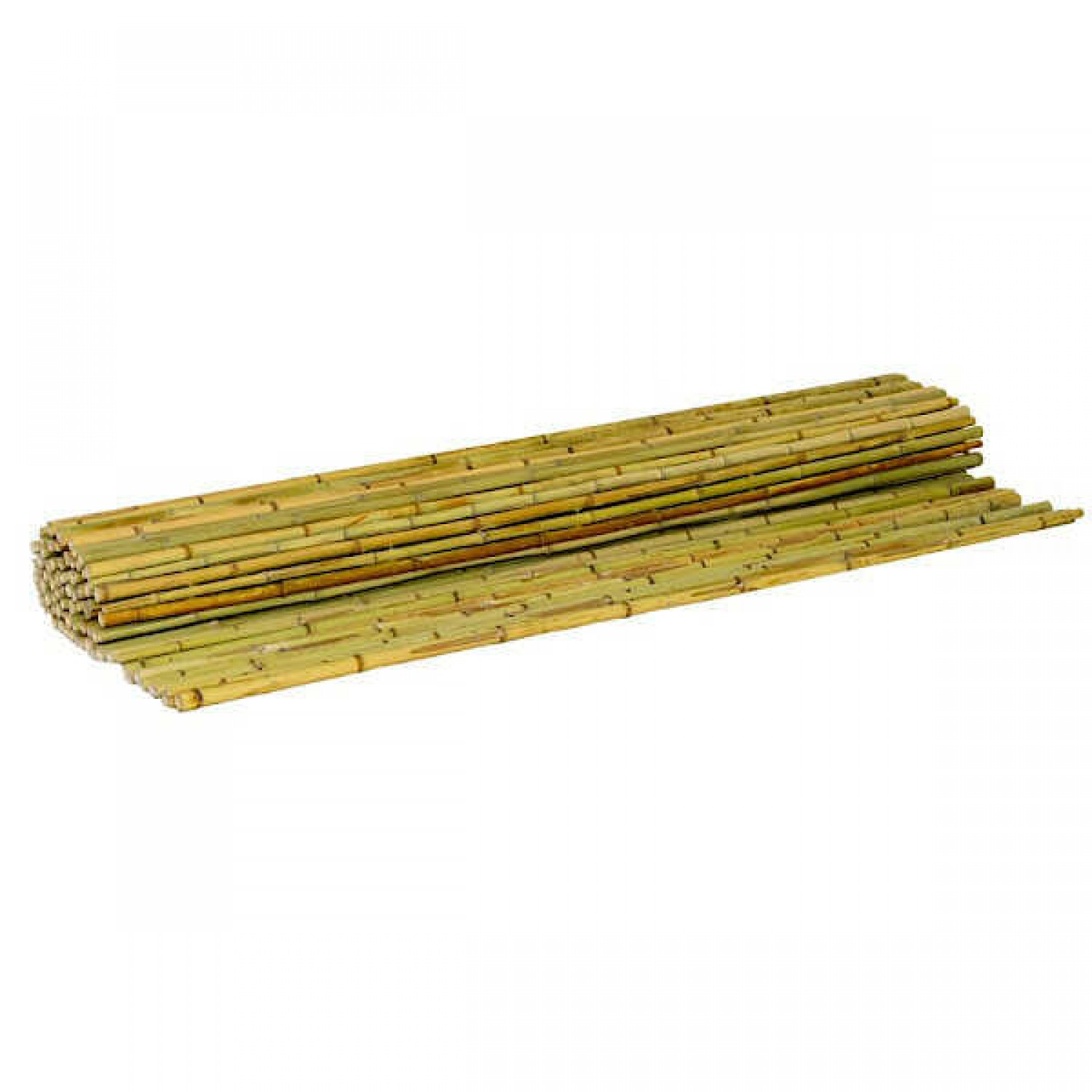 Tonkin Bamboo Cane Rolls 250(H)x300cm Ø14-20mm Tonkin Bamboo Cane Rolls 250(H)x300cm Ø14-20mm