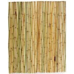 Καλαμωτή Κίτρινο Μπαμπού Φ25-30mm 1,5(Υ)x2,5m Inox Δέσιμο Καλαμωτή Κίτρινο Μπαμπού Φ25-30mm 1,5(Υ)x2,5m Inox Δέσιμο - Φυσικές Καλαμωτές Κίτρινου Bamboo