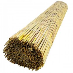 Καλαμωτή Αγριοκάλαμο Ελληνικό Ρολό Φ8-12mm 1(Y)x5m - Φυσικές Καλαμωτές Αγριοκάλαμων