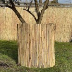 Natural Reed Roll by Greek Cane D8-12mm 2(H)x5m Natural Reed Roll by Greek Cane D8-12mm 2(H)x5m - Natural Reed Rolls