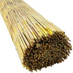 Natural Reed Roll by Greek Cane D8-12mm 2(H)x5m Natural Reed Roll by Greek Cane D8-12mm 2(H)x5m - Natural Reed Rolls