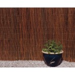 Καλαμωτή Λυγαριά Μασίφ 100(Y)x500cm | Κηπογεωργική