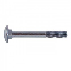 Καρόβιδες (Κασονόβιδες) Γαλβανισμένες 10 x160mm 1ΤΕΜ
