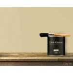 Water Based Little Greene - Clay | Kipogeorgiki