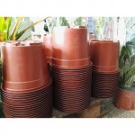Nursery Pot 2lt | kipogeorgiki.live