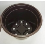 Nursery Pot 2lt | kipogeorgiki.live