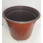 Nursery Pot 2lt | kipogeorgiki.live