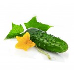 Cucumber 'Marketmore' Seeds | kipogeorgiki.live
