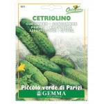 Cucumber Gherkin 'Cornichon de Paris' Seeds | kipogeorgiki.live