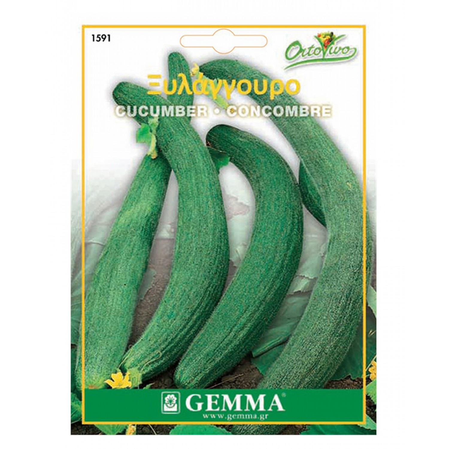 Armenian Dark Green Cucumber 'Tortarello Barese' Seeds | kipogeorgiki.live