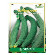 Armenian Dark Green Cucumber 'Tortarello Barese' Seeds | kipogeorgiki.live