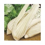 Artichoke Cardoon ''Giant'' Seeds   |kipogeorgiki.live