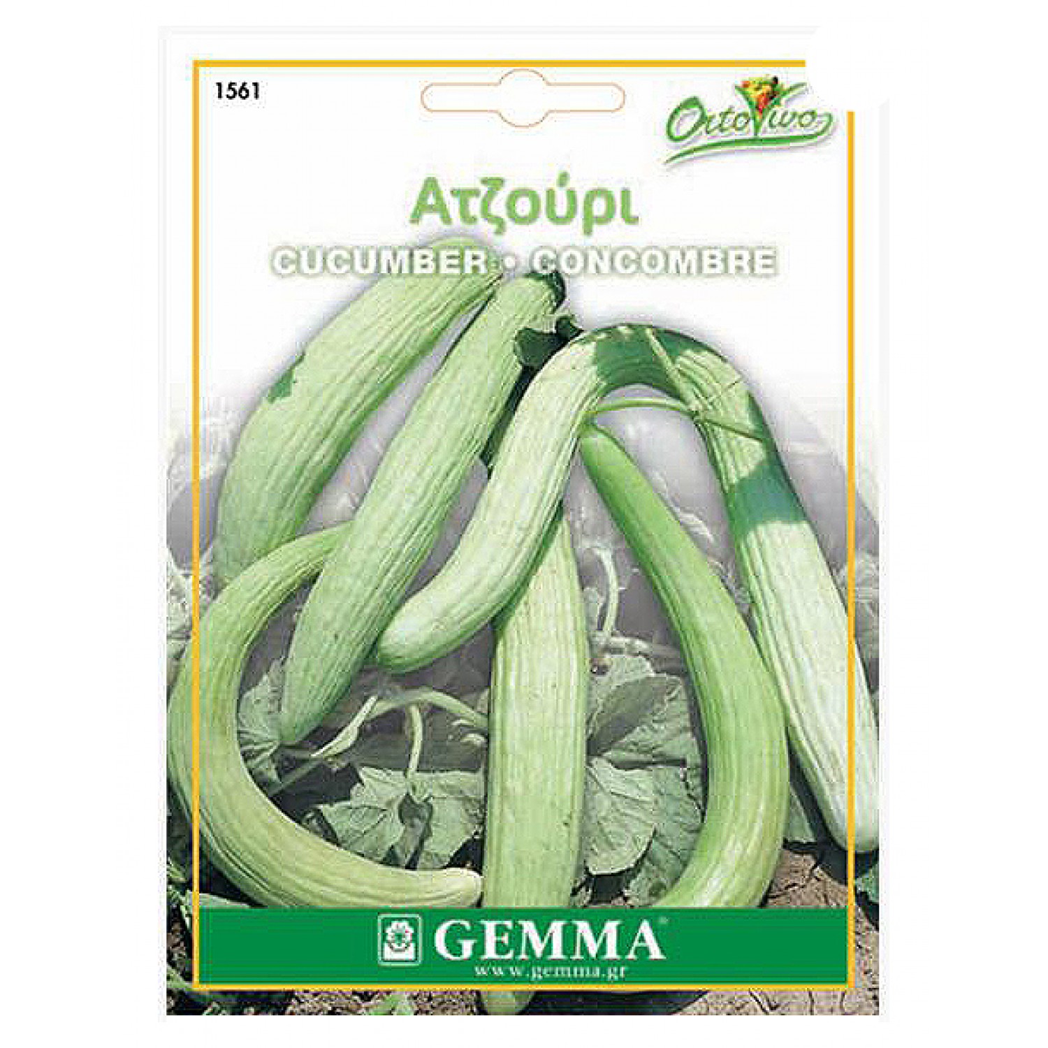 Cucumber Armenian Tortarello Abruzzese 0.8g Seeds