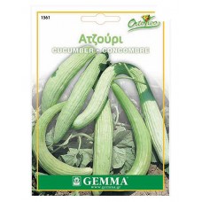 Αγγούρι Ατζούρι Tortarello Abruzzese (Ξυλάγγουρο) Σπόροι