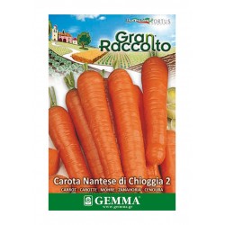 Carrot 'Nantes di Chioggia 2' Seeds 20g Packet