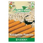 Καλαμπόκι Popcorn Σπόροι | kipogeorgiki.live