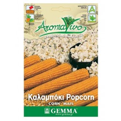 Corn Seeds for Popcorn | kipogeorgiki.live