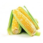 Corn Sweet Seeds | kipogeorgiki.live