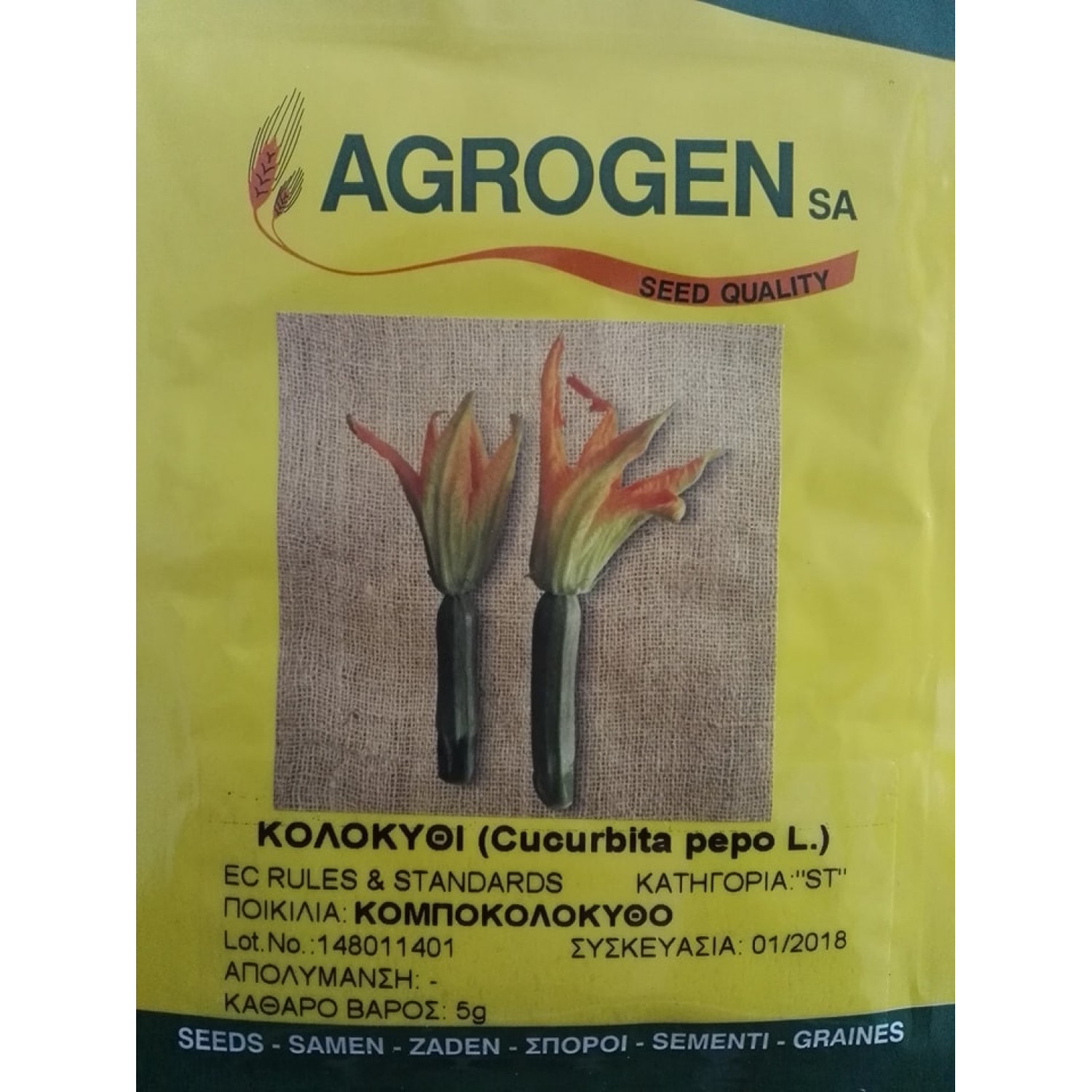 Κομποκολόκυθο Παραδοσιακό Σπόρος (Curcubita pepo) | Ελληνικές Παραδοσιακές Ποικιλίες Κομποκολόκυθο Παραδοσιακό Σπόρος (Curcubita pepo) | kipogeorgiki.live