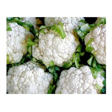 Κουνουπίδι Snowball Erfurter Σπόροι (Brassica oleracea var. botrytis)    |kipogeorgiki.live