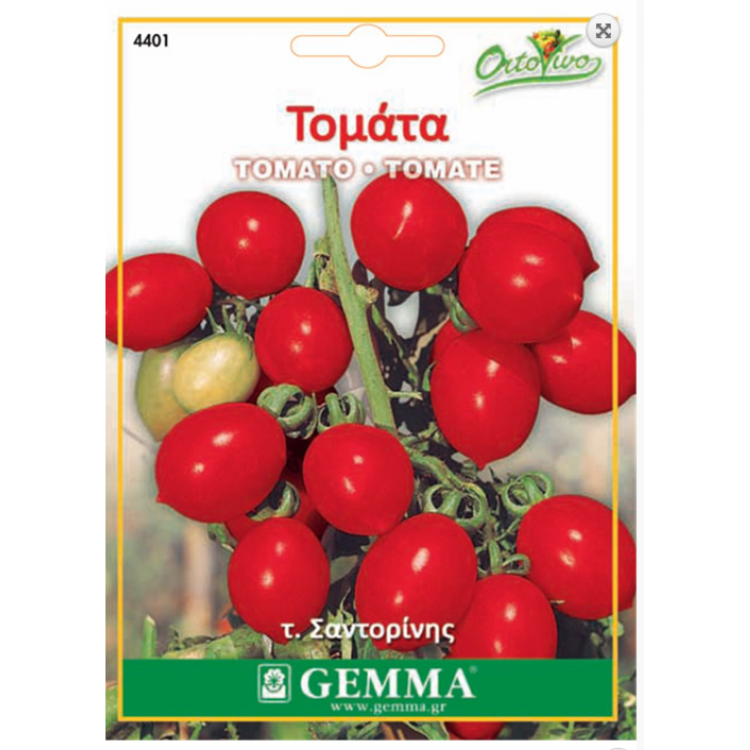 Tomato cherry|kipogeorgiki.live Tomato cherry|kipogeorgiki.live