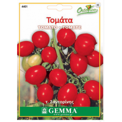 Tomato cherry|kipogeorgiki.live