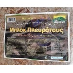 Sown Substrate of Pleurotus Mushrooms