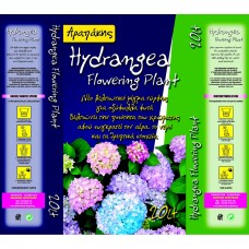 Soil Mixes HYDRANGEA FLOWERING PLANT 20lt