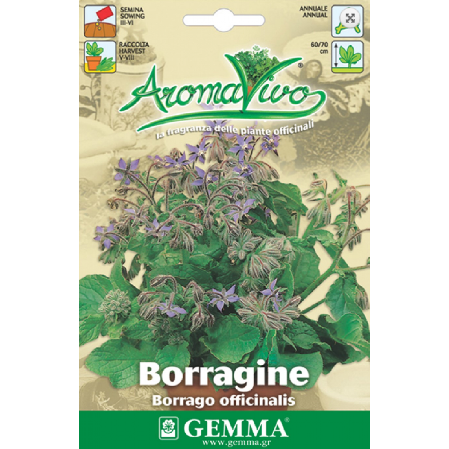 Βοϊδόγλωσσα-Μποράτζα Σπόροι Φακελάκι 12641 (Borago officinalis) - Σπόρος για Μποράτζες Βοϊδόγλωσσα - Μποράτζα Σπόροι (Borago officinalis)