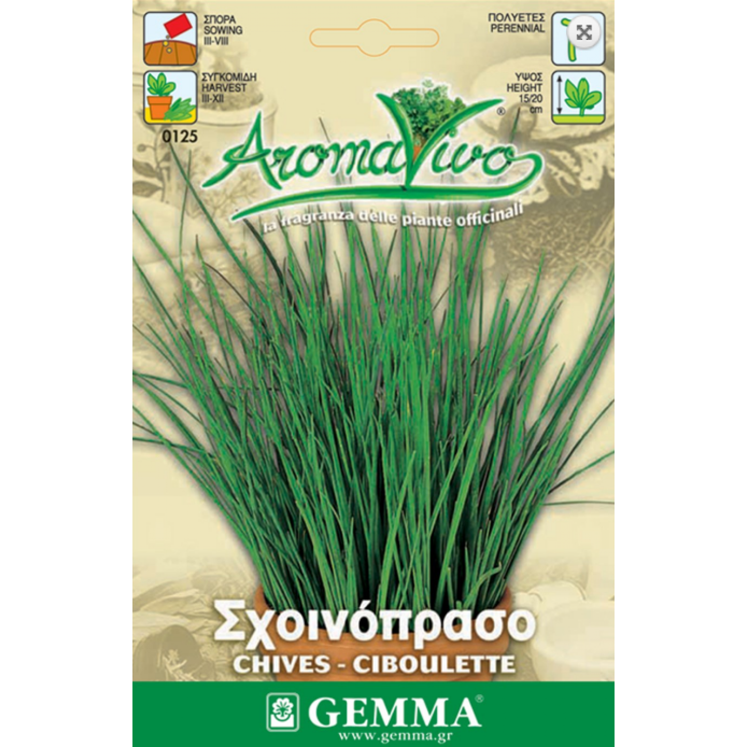 Chives Seeds Packet 12650 (Allium schoenoprasum)