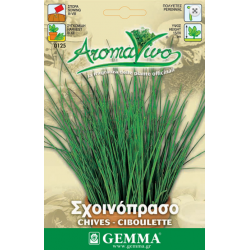 Σχοινόπρασο Σπόροι Φακελάκι 12650-Allium schoenoprasum