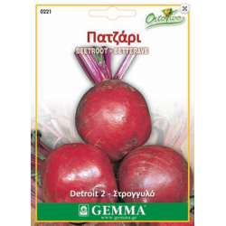 Beetroot Detroit 2 | kipogeorgiki.live
