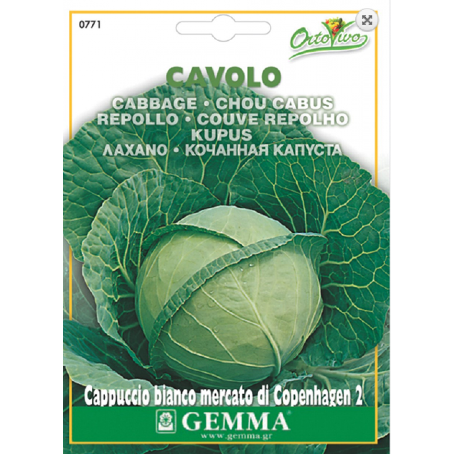 Cabbage Bianco| kipogeorgiki.live