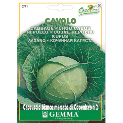 Cabbage Bianco| kipogeorgiki.live