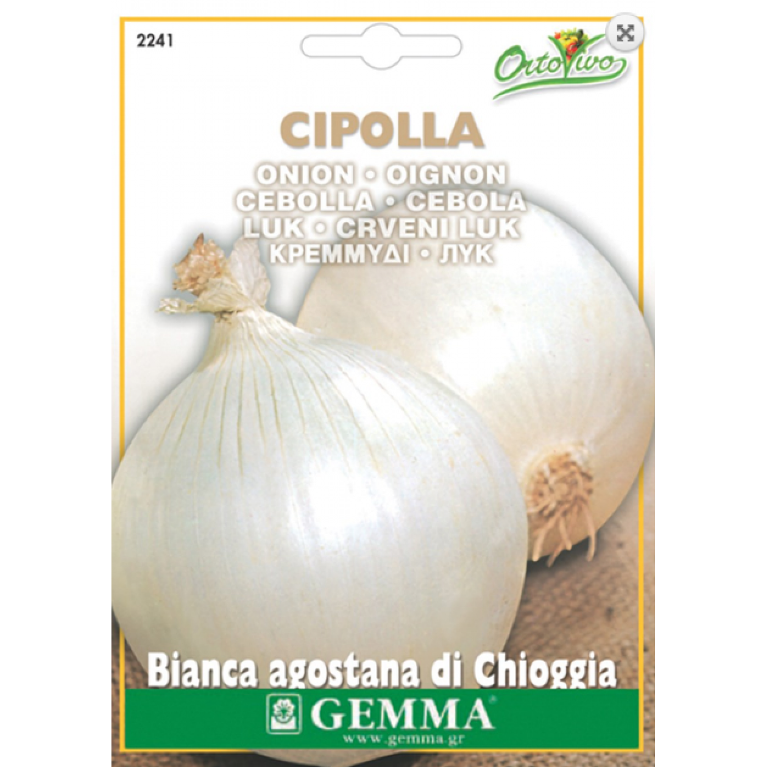 Onion Bianca | kipogeorgiki.live