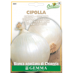 Onion Bianca | kipogeorgiki.live
