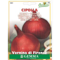 Red Onion | kipogeorgiki.live